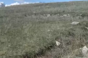 Satılır Torpaq şamaxı Rayonunda