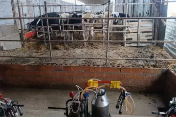 Satılır Obyekt Mərkəzi Poçtda