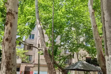 Satılır Köhnə Tikili Bakı Kinoteatrıda