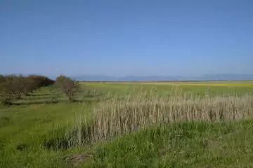 Satılır Torpaq Mərkəzi Poçtda