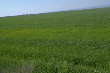 Satılır Torpaq Mərkəzi Poçtda
