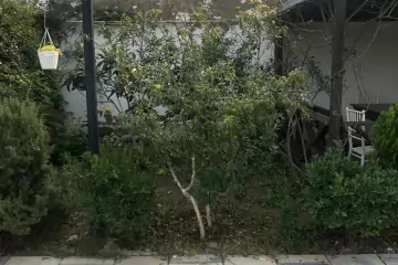 Satılır Həyət Evi Buzovnada