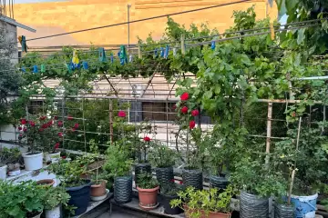 Satılır Həyət Evi Fəhlə Prospekti - Rabocidə