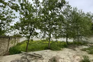 Satılır Torpaq Goradildə