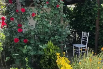 Satılır Həyət Evi Buzovnada