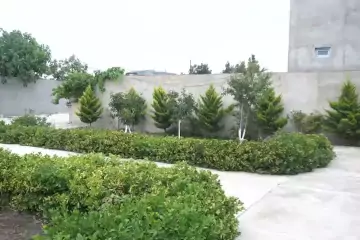 Satılır Həyət Evi Buzovnada