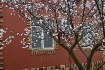 Satılır Həyət Evi Bilgəhdə