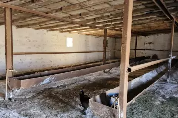 Satılır Obyekt Baharda