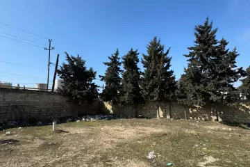Satılır Torpaq Bilgəhdə