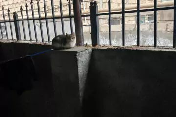 Satılır Həyət Evi Masazırda