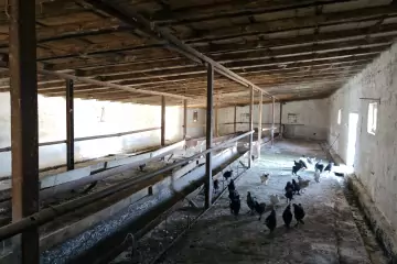 Satılır Obyekt Baharda