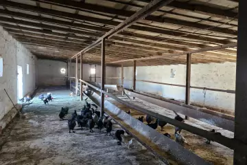Satılır Obyekt Baharda