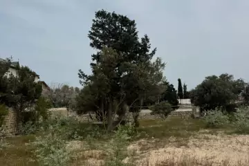 Satılır Torpaq Bilgəhdə