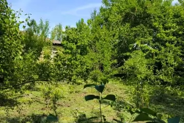 Satılır Bağ Evi İsmayıllı Rayonunda