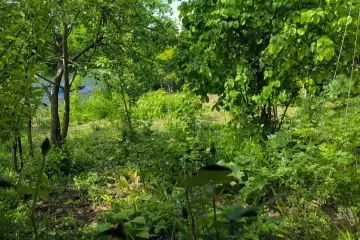 Satılır Bağ Evi İsmayıllı Rayonunda