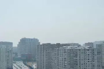 Aylıq Kirayə Yeni Tikili Grand Hayatda
