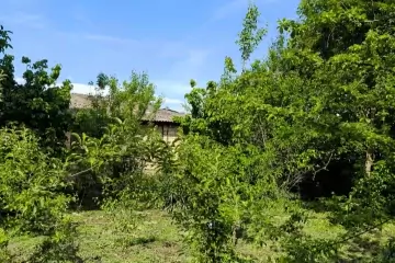Satılır Bağ Evi İsmayıllı Rayonunda