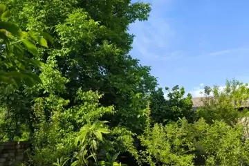 Satılır Bağ Evi İsmayıllı Rayonunda