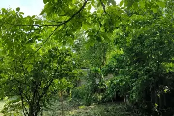 Satılır Bağ Evi İsmayıllı Rayonunda