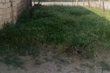 Satılır Həyət Evi Maştağada