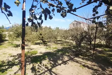 Satılır Torpaq Bilgəhdə