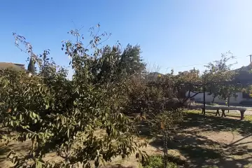 Satılır Torpaq Bilgəhdə