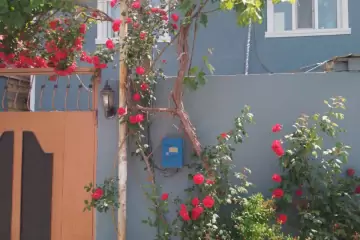 Satılır Həyət Evi Masazırda