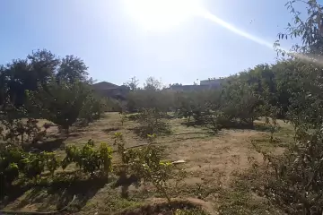 Satılır Torpaq Bilgəhdə