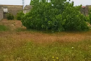 Satılır Torpaq Buzovnada