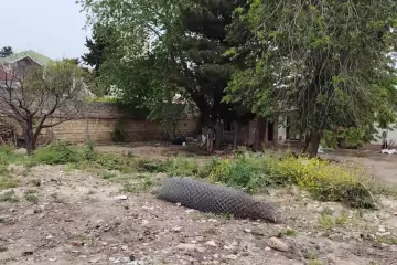 Satılır Torpaq Sabunçu Qəsəbəsida