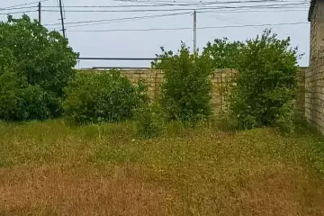 Satılır Torpaq Buzovnada