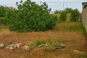Satılır Torpaq Buzovnada