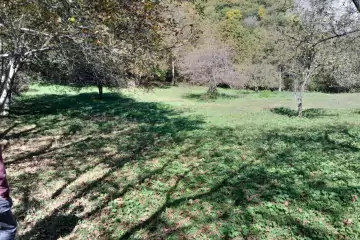 Satılır Torpaq Oğuz Rayonunda