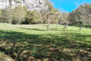Satılır Torpaq Oğuz Rayonunda