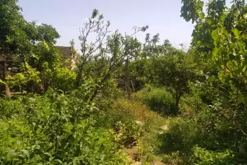 Satılır Torpaq Sarayda