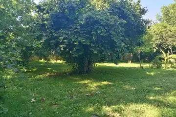 Günlük Kirayə Həyət Evi Vəndam Qəsəbəsində