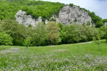 Satılır Torpaq Oğuz Rayonunda