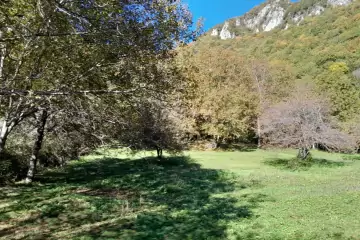 Satılır Torpaq Oğuz Rayonunda