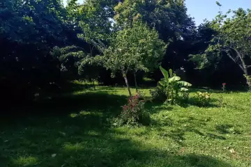 Günlük Kirayə Həyət Evi Vəndam Qəsəbəsində