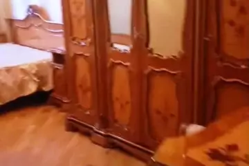Satılır Yeni Tikili Elmler Akademiyasıda