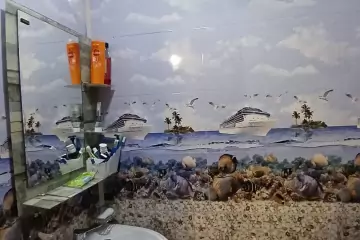 Satılır Yeni Tikili Masazırda
