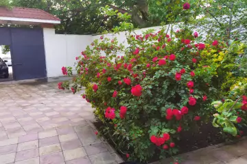 Satılır Həyət Evi Bakı Kinoteatrıda
