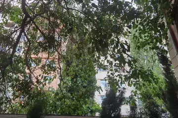 Satılır Həyət Evi Bakı Kinoteatrıda