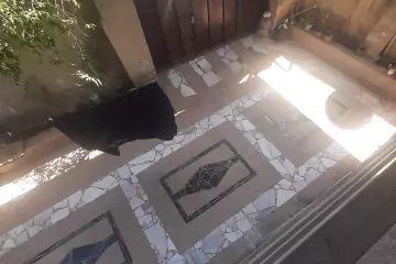 Aylıq Kirayə Həyət Evi Bülbülədə