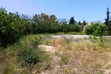 Satılır Torpaq Bilgəhdə