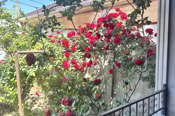 Satılır Həyət Evi Kürdəxanıda