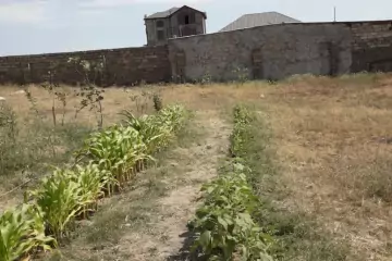 Satılır Torpaq Bilgəhdə