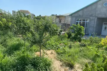 Aylıq Kirayə Bağ Evi Bilgəhdə