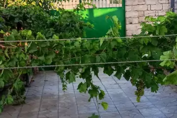 Satılır Həyət Evi Bilgəhdə