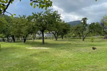 Günlük Kirayə Bağ Evi İsmayıllı Rayonunda